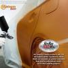 imageCustom Shop  Atomic Orange Pearl  Hot Rod Flatz Flat Matte Satin Urethane Auto Paint  Complete Quart Paint Kit  Professional Low Sheen Automotive Car Truck Coating 41 Mix Ratio