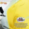 imageCustom Shop  Rally Yellow  Hot Rod Flatz Flat Matte Satin Urethane Auto Paint  Complete Quart Paint Kit  Professional Low Sheen Automotive Car Truck Coating 41 Mix Ratio