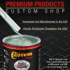 imageCustom Shop  Silver Aqua Metallic  Hot Rod Flatz Flat Matte Satin Urethane Auto Paint  Complete Gallon Paint Kit  Professional Low Sheen Automotive Car Truck Coating 41 Mix Ratio