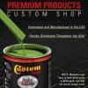 imageCustom Shop  Sublime Green  Hot Rod Flatz Flat Matte Satin Urethane Auto Paint  Complete Quart Paint Kit  Professional Low Sheen Automotive Car Truck Coating 41 Mix Ratio