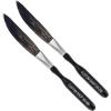 imageCustom Shop SW000 Sword Pinstriper 0002quot Squirrel Hair and Nylon Wool Pack of 2 SW000 Brushes  High Performance Striping Brushes000 Sword Brush