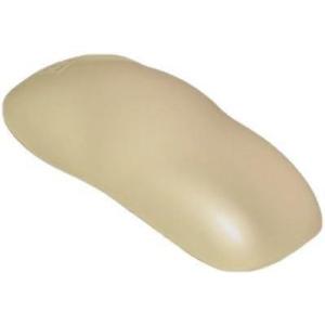 imageCustom Shop  Shoreline Beige  Hot Rod Flatz Flat Matte Satin Urethane Auto Paint  Complete Quart Paint Kit  Professional Low Sheen Automotive Car Truck Coating 41 Mix Ratio