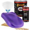 imageCustom Shop  Plum Crazy Metallic  Hot Rod Flatz Flat Matte Satin Urethane Auto Paint  Complete Gallon Paint Kit  Professional Low Sheen Automotive Car Truck Coating 41 Mix Ratio